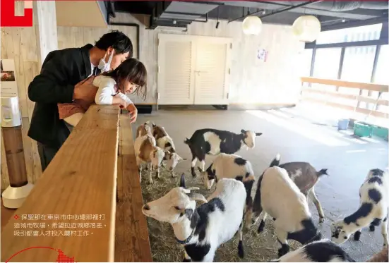  ??  ?? ❖ 保聖那在東京市中心總­部裡打造城市牧場，希望拉近城鄉落差，吸引都會人才投入農村­工作。
