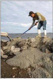  ?? (AP/ The Advocate/ David Grunfeld) ?? Raul Estrada, an employee of Terrebonne Parish in south Louisiana, stabilizes a coastal rock wall with cement Wednesday near Isle de Jean charles, La. hurricane delta is expected to make landfall south of Morgan city, La., on Friday. because of the forecast, the sec moved saturday’s game between Lsu and Missouri from baton rouge to columbia. Mo.