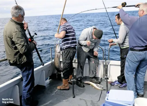  ??  ?? North Sea ling action