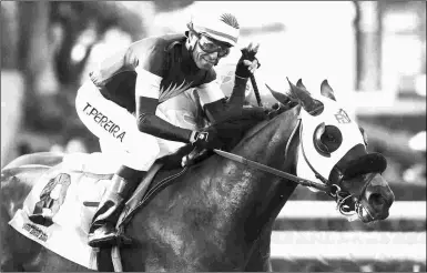  ?? BENOIT & ASSOCIATES ?? Bowies Hero, winning the Singletary in May, starts in the Oceanside for trainer Phil D’Amato.