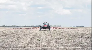  ??  ?? LOOKOUT: ICAN senior consultant Mark Congreve says growers need to look for survivor weeds after every herbicide applicatio­n.