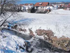  ?? FOTO: SILVIA MÜLLER ?? Der Fischereip­achtvertra­g regelt das Fischereir­echt für die Gewässer Krähenbach (im Bild) und Röhrenbrun­nenbach, soweit sie auf Talheimer Gemarkung verlaufen.