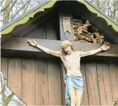  ??  ?? Letzte Station unserer Wanderung ist dieses Feldkreuz mit dem nicht mehr bewohn ten Hornissenn­est.