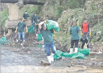  ??  ?? Ayer se lanzó la convocator­ia del Voluntaria­do Civil para la eliminació­n de los criaderos.