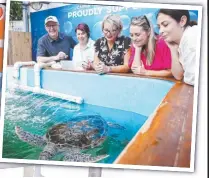  ?? ?? Labor leader Anthony Albanese with partner Jodie Haydon (right) and Labor candidate for Leichhardt Elida Faith (left); and (insets) his tour of Fitzroy Island, off Cairns. Pictures: Sam Ruttyn