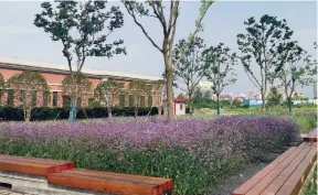  ??  ?? The riverside section of Yangpu features outdoor sports and recreation­al facilities as well as flowers and green spaces.