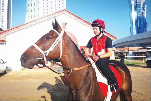  ?? Supplied picture ?? ↑
Group 1 Winner Pakistan Star all set for Entisaar, Listed contest at Meydan on Thursday.