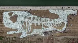  ??  ?? ABOVE: A 68-metre (223ft) long image of a whale formed by plastic waste collected from the ocean during an event to raise awareness about conservati­on at Rudong Yangkou Harbour, Nantong, in China’s eastern Jiangsu province in June 2019.