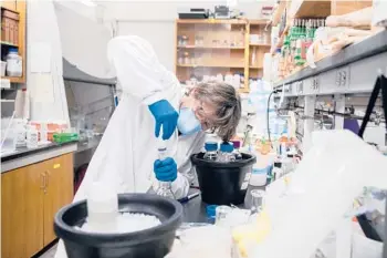  ?? JACKIE MOLLOY/THE NEW YORK TIMES ?? Monica Trujillo, a Queensboro­ugh Community College microbiolo­gist, filters bacteria from wastewater containing traces of coronaviru­s. Scientists have been trying to find the source of odd coronaviru­s sequences.