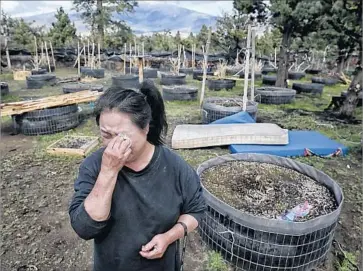  ?? Robert Gauthier Los Angeles Times ?? BAO KELLY XIONG, 51, weeps as she clears the belongings of her sister Mee Xiong, 58, from the pot farm in March. Mee died last winter. She was poisoned by fumes from a charcoal brazier that warmed her hut at night.