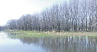  ??  ?? Une grande partie de la terre de la Ferme JM Paul a été inondée l’an dernier, causant la perte des récoltes.