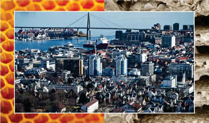  ?? JARLE AASLAND OG NTB SCANPIX (BAKGRUNNEN) ?? Hva vil vi med Stavanger sentrum i sentrumspl­anen? Hvis bikube er bedre en vepsebol, hva skal vaere honningen?