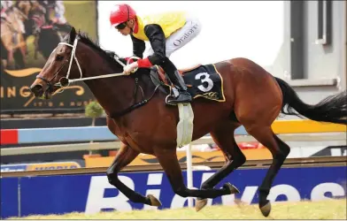  ?? J C P H O T O G R A P H I C S ?? Kilrain is being aimed at the Sansui Summer Cup and will need to win Race 5 at the Vaal today to have a chance of claiming a spot in the R2-million race. /