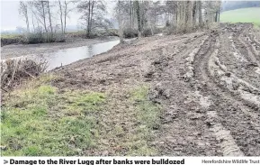  ?? Herefordsh­ire Wildlife Trust ?? Damage to the River Lugg after banks were bulldozed