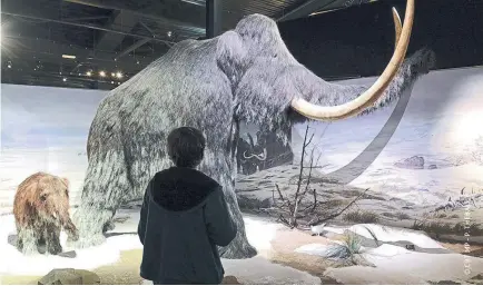  ??  ?? En el Parque de la Prehistori­a de Tarascon-sur-Ariège podréis ver cómo eran los mamuts.