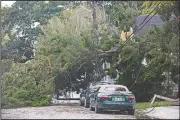  ?? AP/The Advocate/SOPHIA GERMER ?? A fallen tree is seen Saturday in New Orleans after Tropical Storm Olga passed through the area.