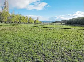  ??  ?? Pasturas. En este ambiente húmedo también siembran leguminosa­s.