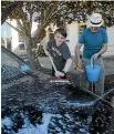  ??  ?? A proposed bylaw would see the end of car washing on Napier driveways.
