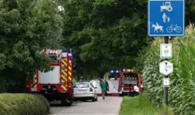  ?? FOTO MARGO TILBORGHS ?? De 84jarige fietser kwam gisteren in Kalmthout ten val tegen een boom. Hij overleed later in het ziekenhuis.