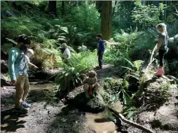  ?? COURTESY OF ARCATA RECREATION ?? Masked summer campers are pictured in the Arcata Community Forest.