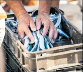  ??  ?? Naspram lanjskog rezultata osjetno je slabiji izvoz u Alžir, gdje je glavni izvozni artikl zamrznuta riba
