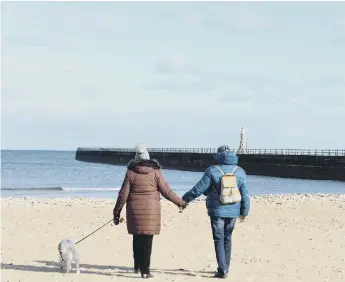  ??  ?? The rules on dog exclusion zones on Sunderland beaches are to remain as they were following consultati­on.