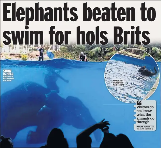  ??  ?? SHOW IS HELL Elephant is forced under the water FORCE