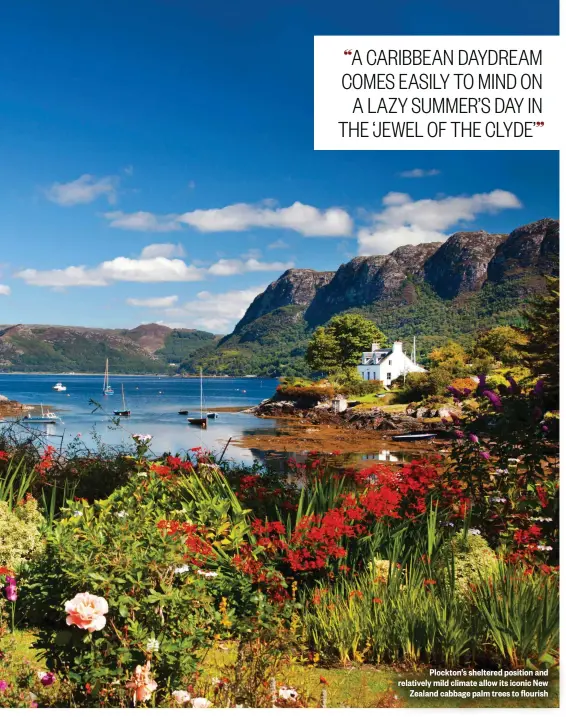  ??  ?? Plockton’s sheltered position and relatively mild climate allow its iconic New Zealand cabbage palm trees to flourish