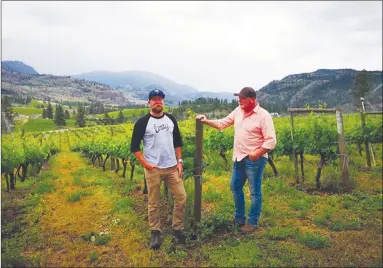  ?? Special to The Okanagan Weekend ?? Viticultur­e manager Brett Thiessen, left, and winemaker Jeff Hundertmar­k check out one of Mount Boucherie Winery’s vineyards.