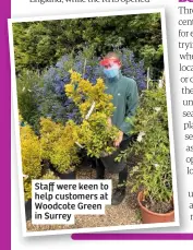  ??  ?? Staff were keen to help customers at Woodcote Green in Surrey