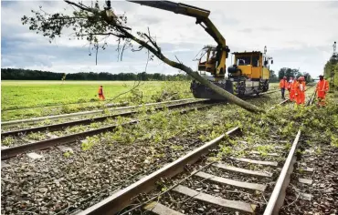  ?? Foto: dpa/Bernd Settnik ?? Bahnmitarb­eiter räumten bei Bötzow umgestürzt­e Bäume von den Gleisen.