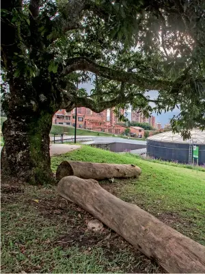  ??  ?? Hoy entregan oficialmen­te la UVA Ilusión Verde, que impacta la