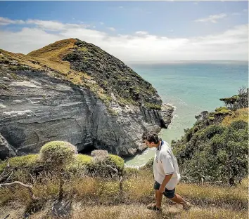  ??  ?? The new sanctuary has a 200-metre fence protecting three hectares of the coastal headland, which it is hoped will become home to seabirds, rare native plants, giant snails and geckos.