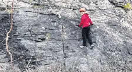  ?? CONTRIBUTE­D ?? Riley Earle likes to check out the painted rocks placed on the rock wall he started in Pasadena.