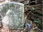  ?? LAWREN SIMMONS Fresh Take Florida ?? The headstone of Joe Green, a military veteran, sits adjacent to a faded American flag and a dead tree lying on its side in the Oak Tree Union Colored Cemetery of Taylorvill­e in Groveland.