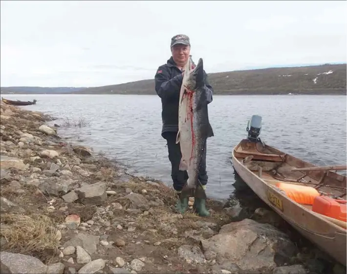  ?? GOVVA: Hans Henry Henriksen ?? GOADJIN: Hans Henry Henriksen čájeha 18 kilosaš goadjima man gottii báikkálaš muorravuok­kain vulobealde Geavgŋá mannan duorastaga iđida.