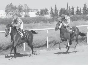  ??  ?? Fozdok devançant Forsen à l’arrivée du Prix du Haras Slaheddine Baccouri