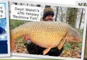  ?? ?? Dean Welsh’s 47lb Yateley ‘Redmire Fish’.