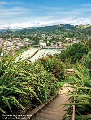  ?? ?? Gisborne offers plenty of walks for all ages and fitness levels