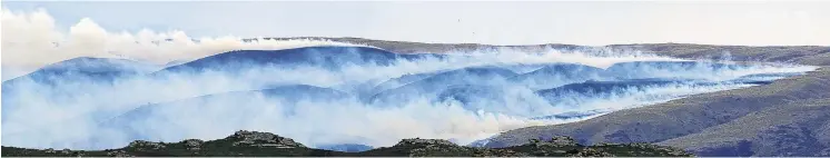  ?? PHOTO: GERARD O’BRIEN ?? One of many . . . Up to 11 helicopter­s were battling the blaze near Middlemarc­h on Saturday afternoon.