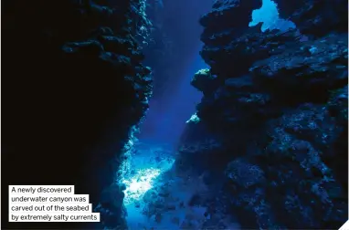  ?? ?? A newly discovered underwater canyon was carved out of the seabed by extremely salty currents