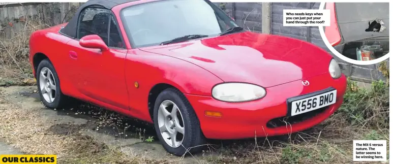  ??  ?? who needs keys when you can just put your hand through the roof? The MX-5 versus nature. The latter seems to be winning here.