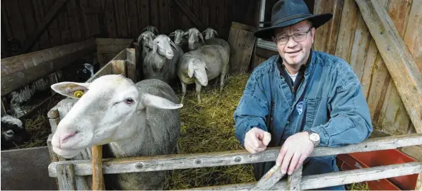  ?? Foto: Marcus Merk ?? In seinem Betrieb in Walkertsho­fen hat Robert Drexel 70 Merinoscha­fe im Nebenerwer­b. Für die Wolle bekommt er gerade so viel Geld, dass es die Schurkoste­n deckt.