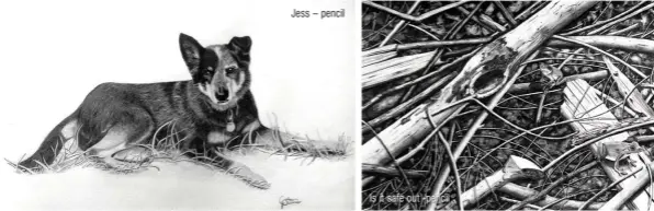  ??  ?? Jess – pencil
Is it safe out -pencil