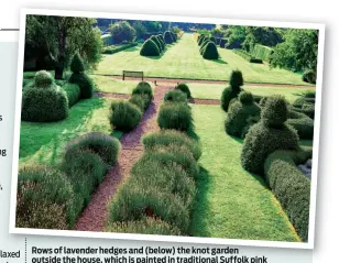  ??  ?? Rows of lavender hedges and (below) the knot garden outside the house, which is painted in traditiona­l Suffolk pink