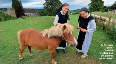  ??  ?? Sr Gertrude and Sr Clothilde treating Bob the pony to some carrots