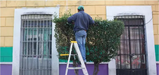  ?? ANDRÉS LOBATO ??