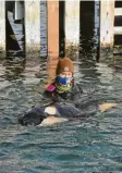  ?? Foto: dpa ?? In Neuseeland suchen Tierschütz­er nach der Mama eines jungen Orcas.