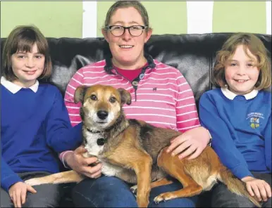  ?? Picture By: John Westhrop FM4691748 ?? From left, 10-year-olds Kiera and Olivia Carter with mum Laura and adopted dog Orla, a mixed breed stray who will be appearing at Crufts