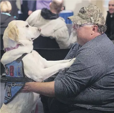  ?? ANDREW VAUGHAN / THE CANADIAN PRESS ?? Medric Cousineau, a retired air force navigator who was awarded the Star of Courage, sits with Thai, his service dog who helps him cope with post-traumatic stress disorder. They were attending a news conference on veterans issues at the Halifax...